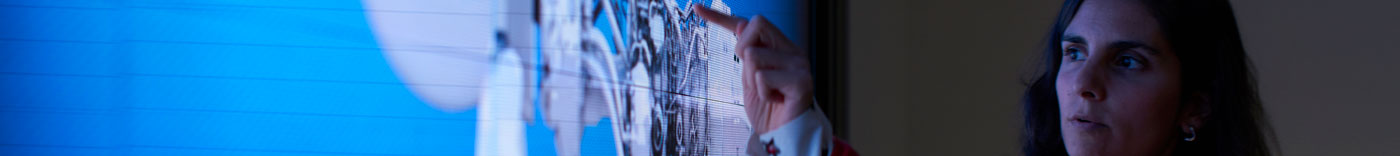 Bild zu Finance Master Data Governance & Quality Lead